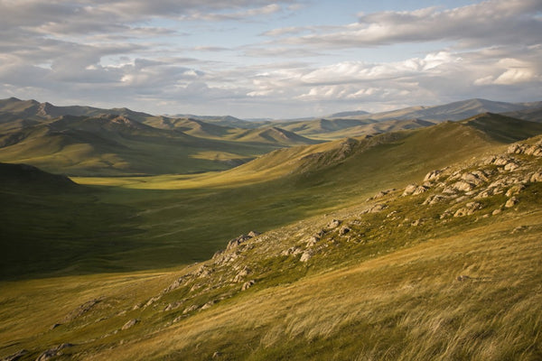 Mongolian Landscape