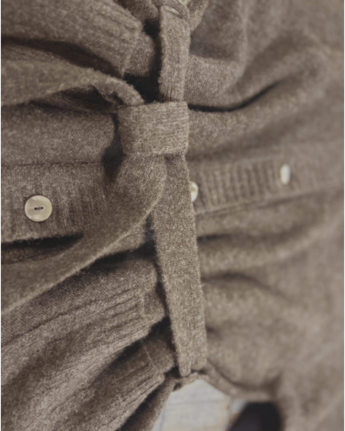 The Mongolian Wool Cinch Cardigan - image 4