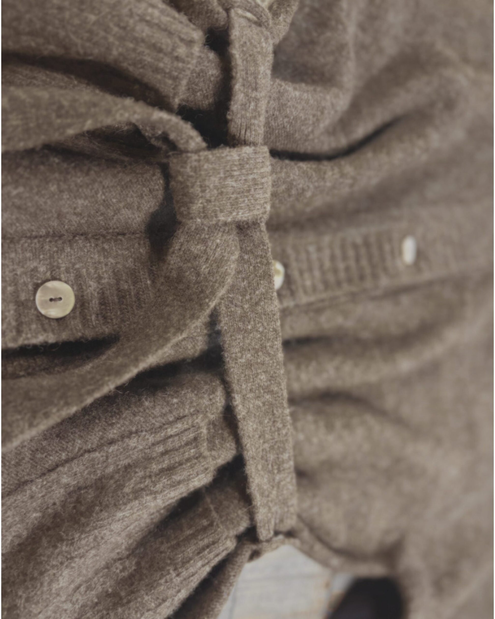 The Mongolian Wool Cinch Cardigan - image 4