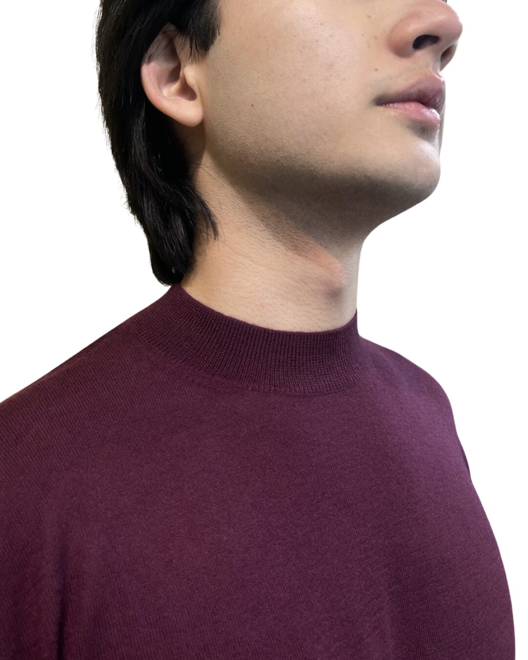 The Silk Cashmere Mock Neck - image 10