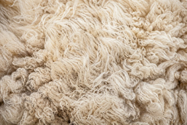 Wool